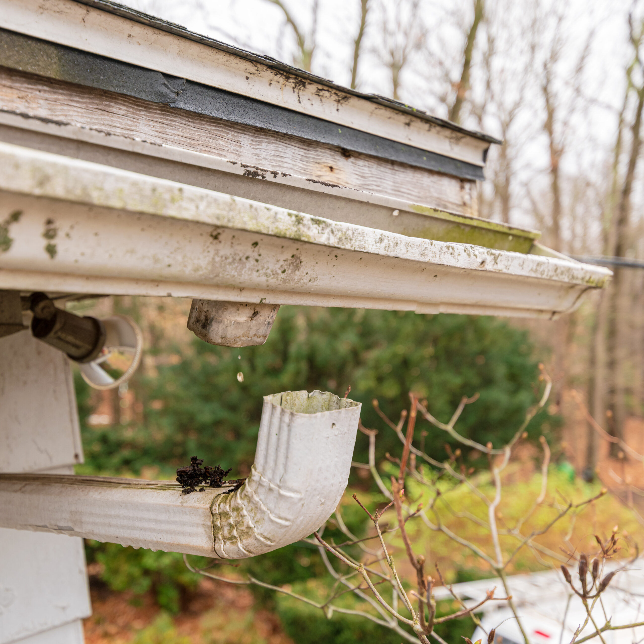 Gutter Services