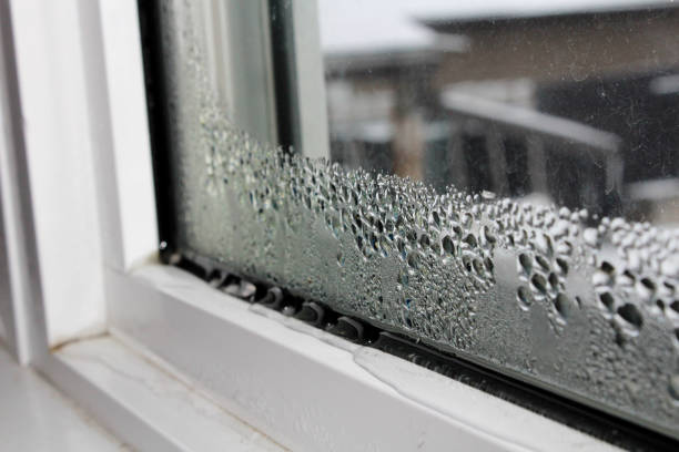 Window moisture and exterior inspection